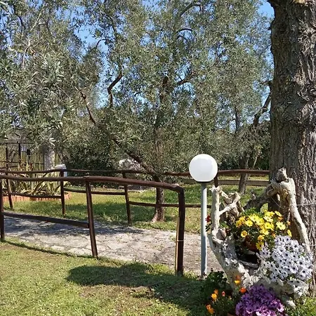 Delle Rose Дом отдыха Вьесте